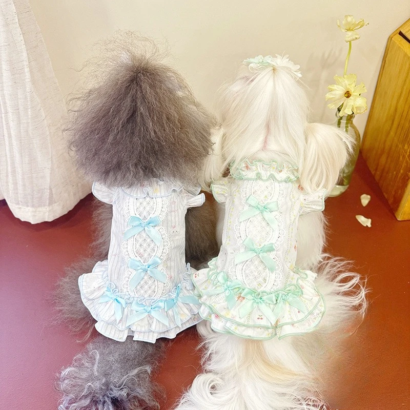 Vestido con cuello de encaje para mascotas, chaleco con lazo bonito, vestidos de princesa frescos para perros pequeños, ropa para cachorros - imagen 3