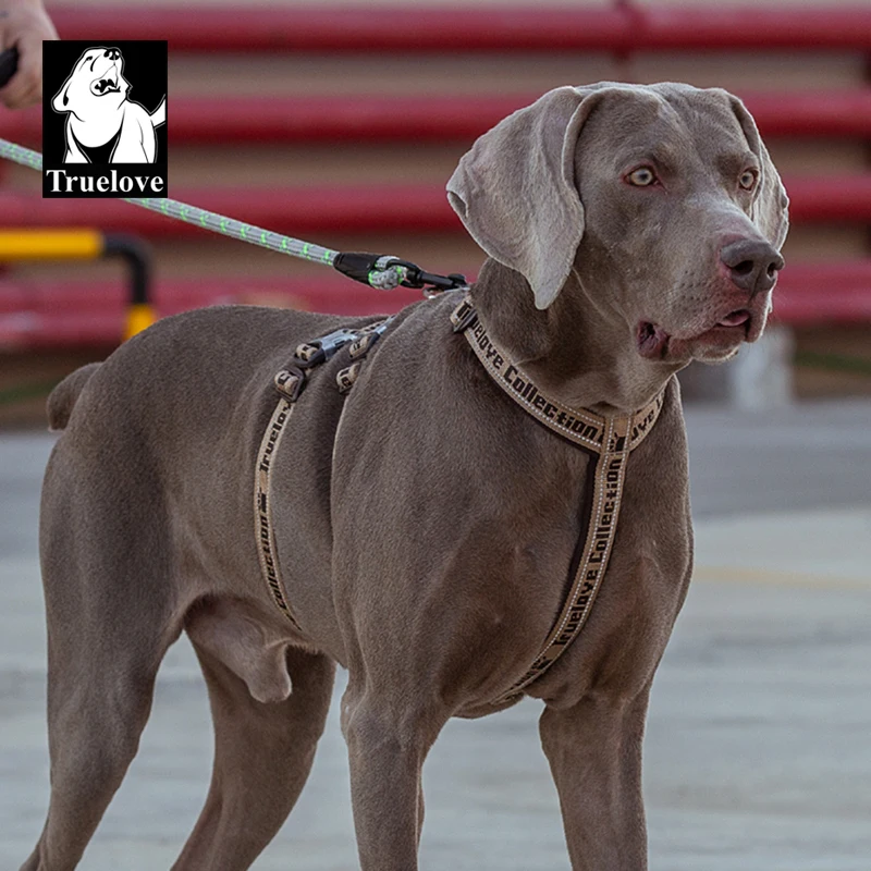 Truelove-arnés doble H, acolchado de neopreno, duradero, reflectante fuerte, ajuste de aleación de aluminio en la oscuridad, peso ligero TLH6571 - imagen 3