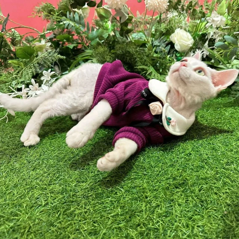 Primavera y otoño sudaderas con capucha para perros y gatos ropa acogedora adecuada para gatos sin pelo tela de búho nevado ropa para mascotas para perros pequeños gatos - imagen 4