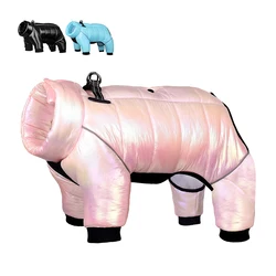 Chaqueta impermeable para perros pequeños - Abrigo cálido con cuello