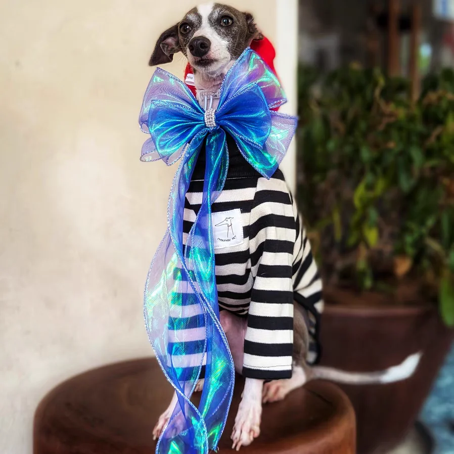 Abrigo rosa clásico de rayas de algodón de cuello alto para galgo italiano Primavera Manga larga estilo retro Sudadera cálida negra para whippet en otoño invierno - imagen 3