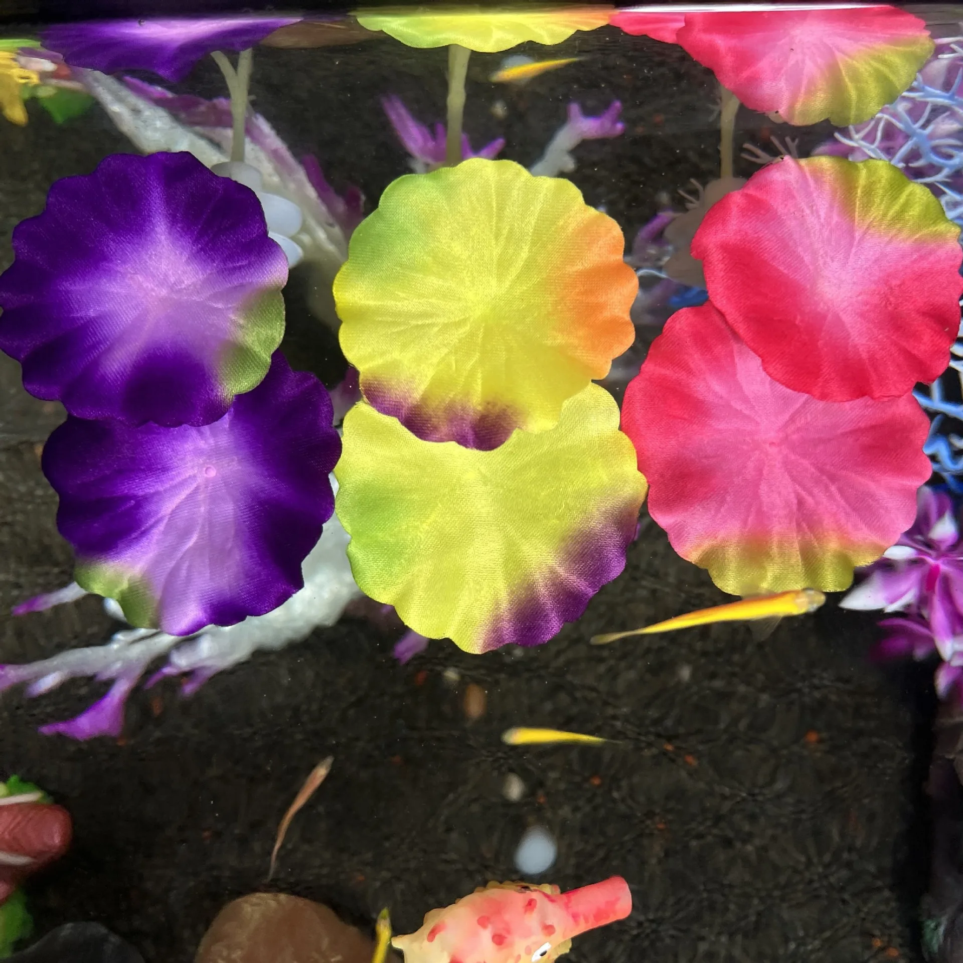 Hoja de descanso para peces Betta y planta acuática simulada - imagen 3