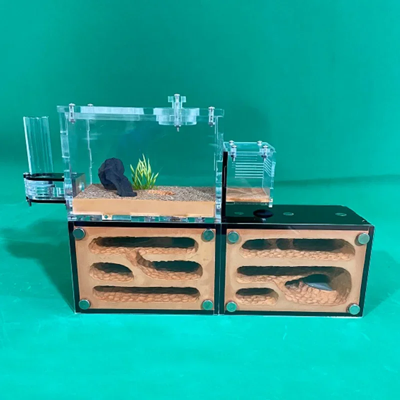 Granja de hormigas ecológica, expansión ilimitada, nido de hormigas, barro amarillo, hidrata, antill, casa de hormigas de granja, caja acrílica, perrera de hormigas, taller - imagen 2