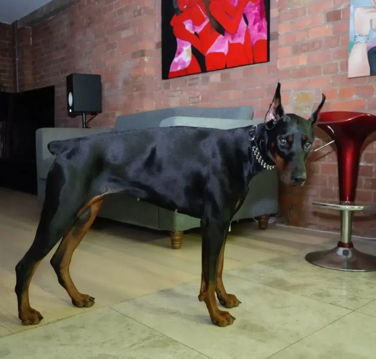 Collar de perro de PU con remaches de punta Punk, Gargantilla ajustable antimordida para mascotas para perros pequeños, medianos y grandes, Bull Terrier, Doberman Pinscher - imagen 4