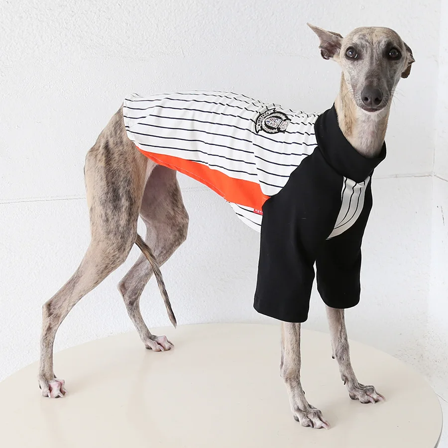 Camiseta transpirable vintage para galgo italiano y whippet verano - imagen 5