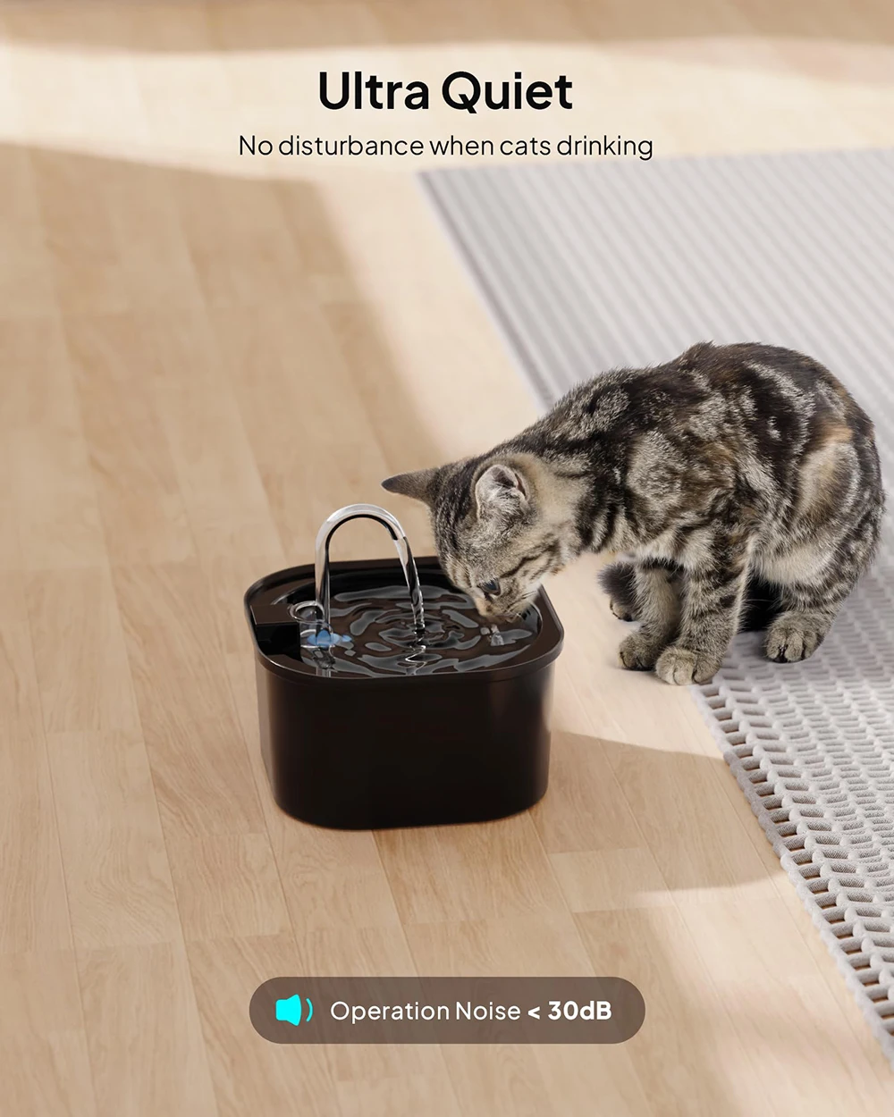 Un gato que bebe agua de un tazón negro