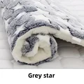 Grey Star