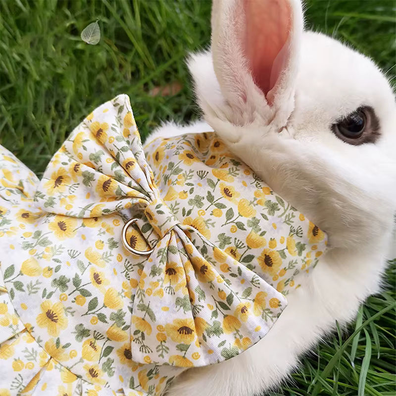 Conjunto de vestido y correa con arnés de conejo de algodón suave para conejos, ropa de verano para animales pequeños, suministros para caminar al aire libre para mascotas - imagen 4