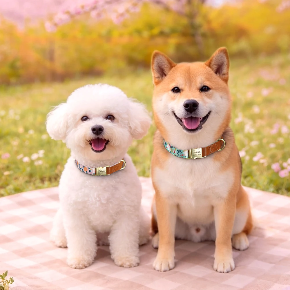 Collar personalizado floral en nailon para perros de todos los tamaños - imagen 3