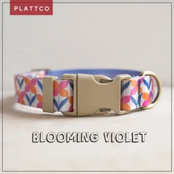 Collar y correa con lazo de mariposa violeta para perro