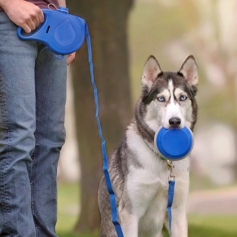 Correa de nailon para perros grandes, accesorios para cachorros, correas para perros y gatos con cuenco, almacenamiento de agua, mascotas, gatos, perros, correa para exteriores - imagen 2