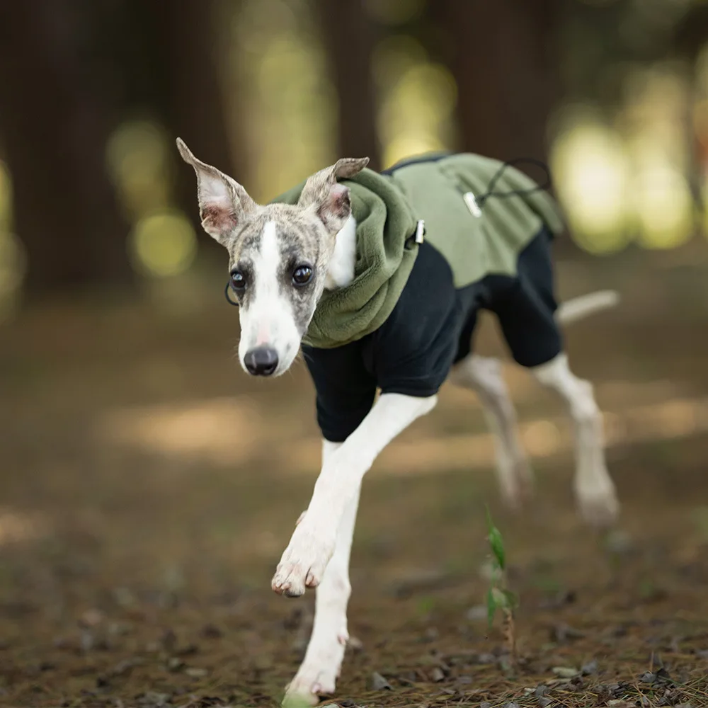 Ropa de terciopelo de lujo para cachorros, ropa cálida y suave para perros pequeños y medianos, con cuello alto y a prueba de viento para galgos/whippets en invierno - imagen 3