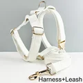 harness leash