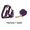 Harness  leash