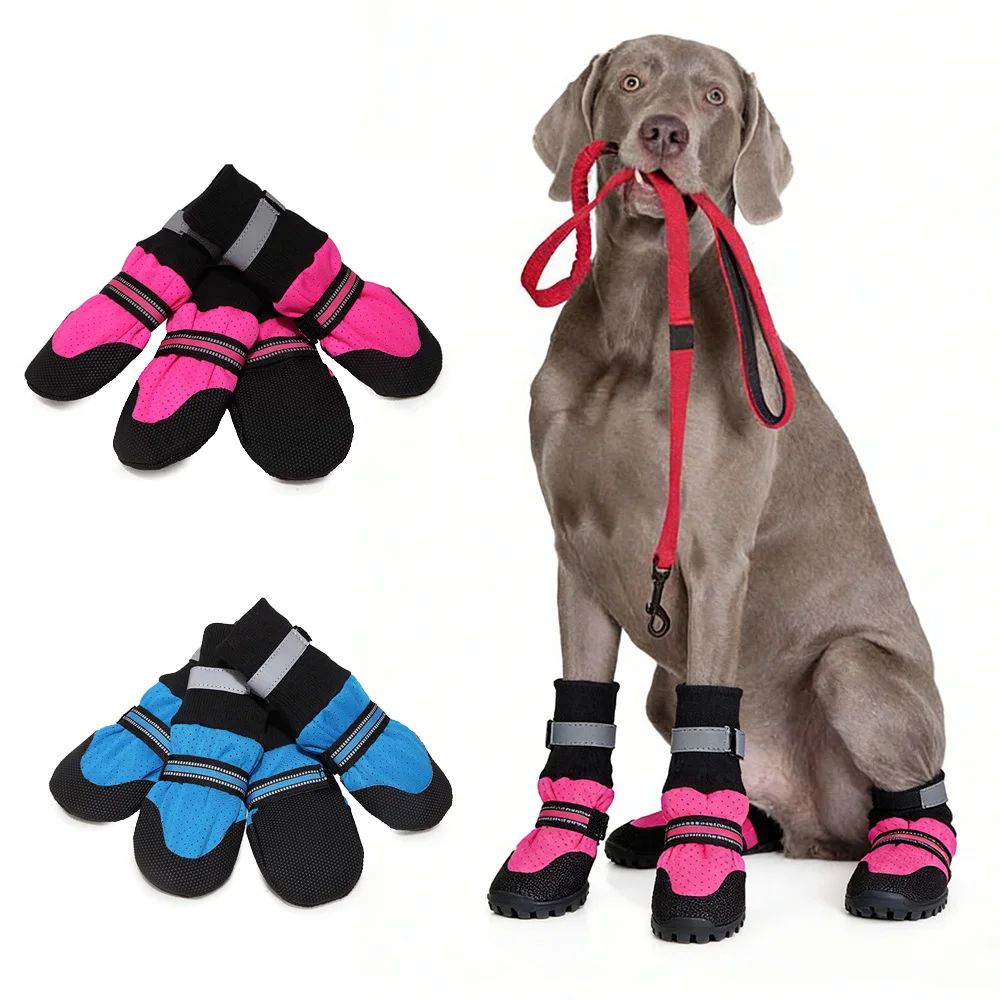 Botas transpirables malla verano perros medianos Pitbull Greyhound - imagen 3