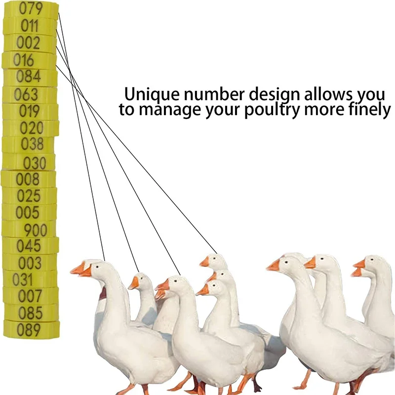 Anillo de pie de pollo ajustable, identificación numerada, 6 colores, Clip para aves de corral, pollos, patos, gansos y loros, 10/30/50 unidades - imagen 3