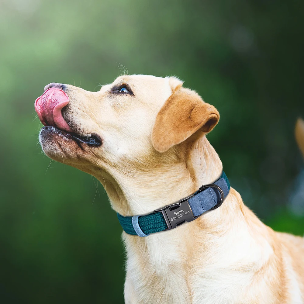 Collar personalizado para perro con grabado gratis – Talla S a L - imagen 5