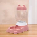 Pink food bowl