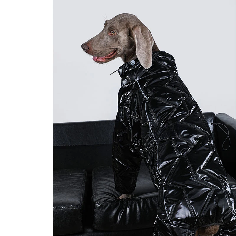Ropa grande para perros de tela de alta calidad, chaqueta impermeable con cuello alto para perros de 4 patas, ropa Labrador Golden Retriever Dobermann - imagen 4