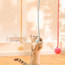 Juguete de pared para gatos con bola de peluche – Diversión para autoentretenimiento
