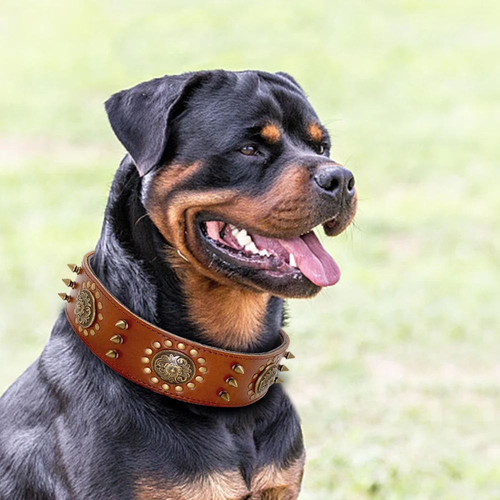 Collar de cuero con tachuelas para perros grandes - imagen 5