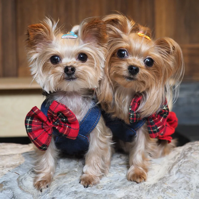 Falda de lujo con tirantes de mezclilla para perros, ropa para mascotas, falda con tirantes de mezclilla para perros pequeños, vestidos para perros para Pomerpish maltés Yorkshire - imagen 2