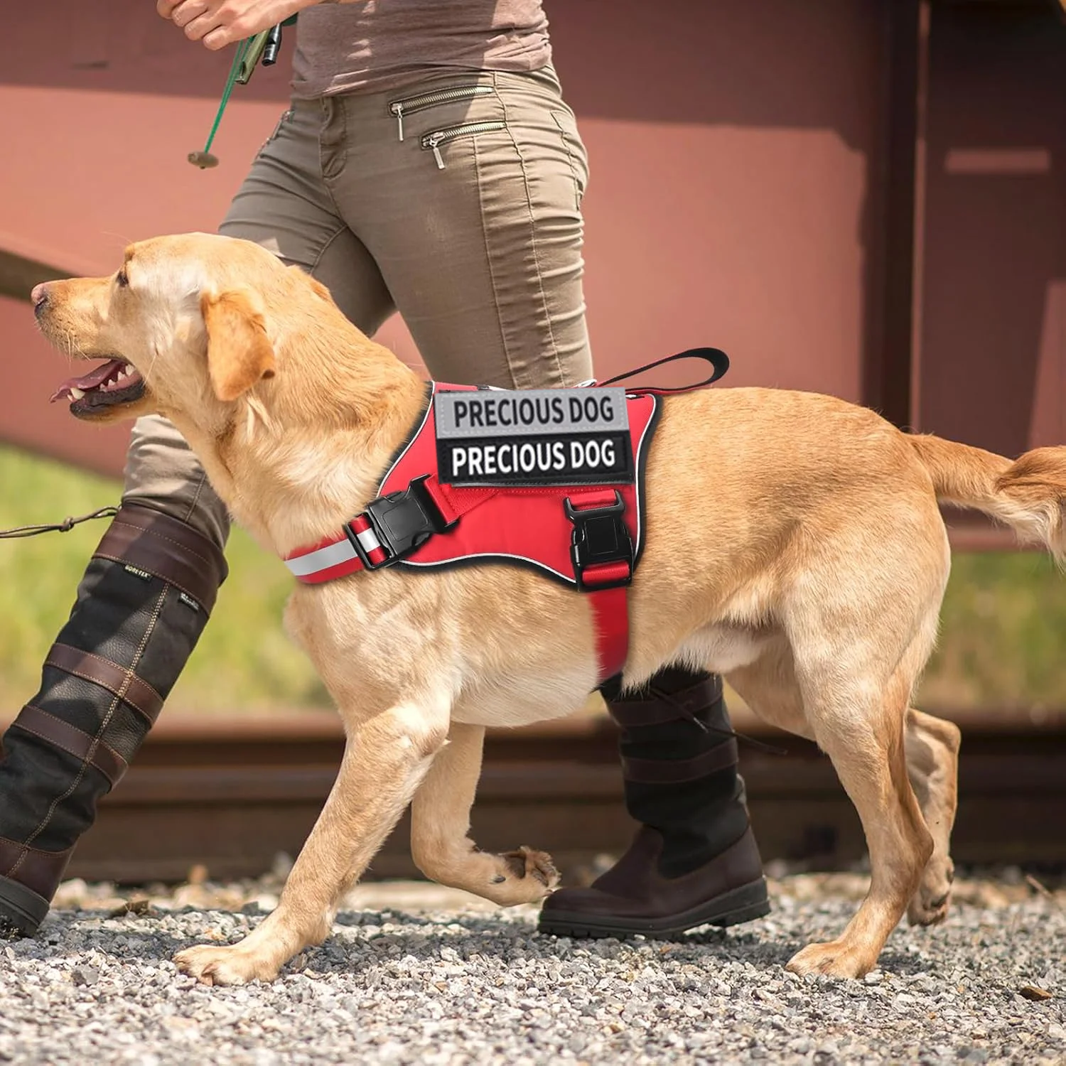 Arnés para perros reflectante, transpirable y ajustable, sin tirones, chaleco para perros pequeños, medianos y grandes - imagen 4