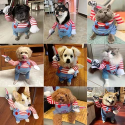 Disfraz de calabaza para perro – Traje divertido Halloween