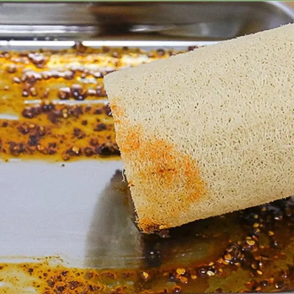 Esponja de Luffa Natural, esponja de lufa, tablero de celulosa, cocina, baño, ducha, esponja, 1 ud. - imagen 4