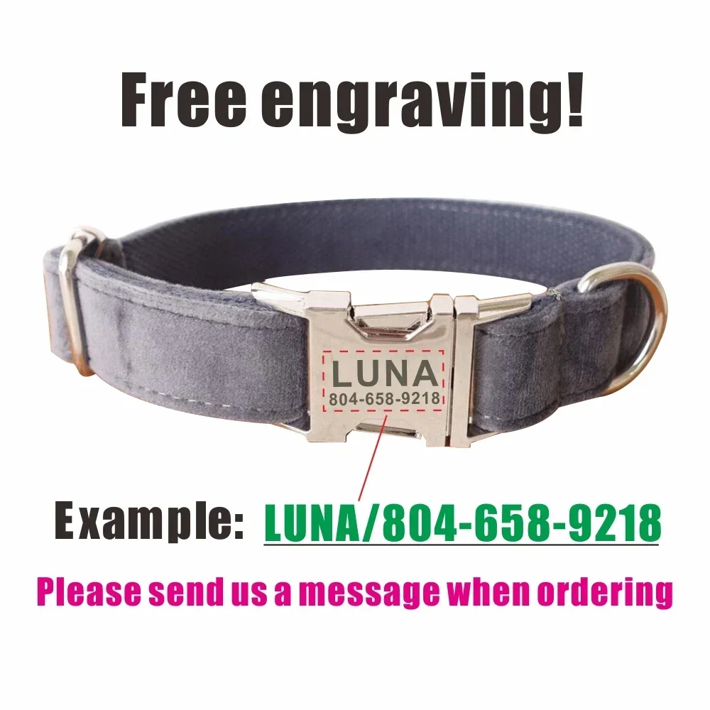 Collar de invierno para perro de terciopelo grueso Multicolor personalizado con hebilla de contactos, correa a juego disponible, suministro para perros, accesorio para perros - imagen 4