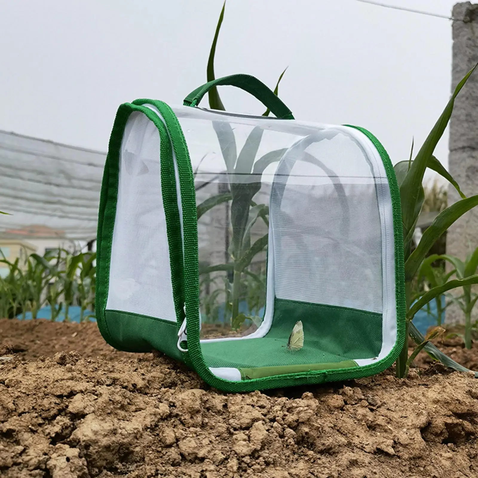 Insect and Butterfly Habitat Cage Clear PVC Insect Cage Garden Butterfly Seedling Incubator for Insect Science Education - imagen 4