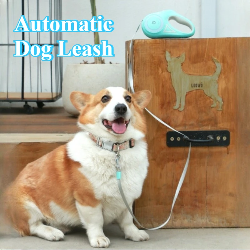 Correa retráctil automática para perros con luz LED, plomo de nailon luminoso para caminar de noche y correr, correa ajustable para mascotas con linterna
