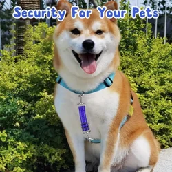 Collar reflectante ajustable para perros – Clip 360 seguro