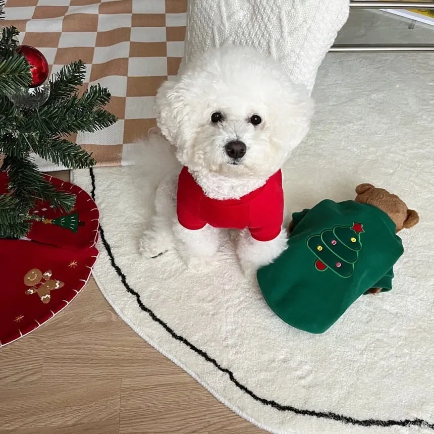 Autumn and Winter New Products Christmas Edition Plush Pet Hoodie Teddy Bear Dog Cat Small Dog Clothes hoodie for small dogs - imagen 5