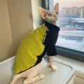 Yellow-Black
