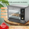 24 Eggs AU