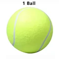 1 Ball