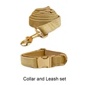 collar and leash set