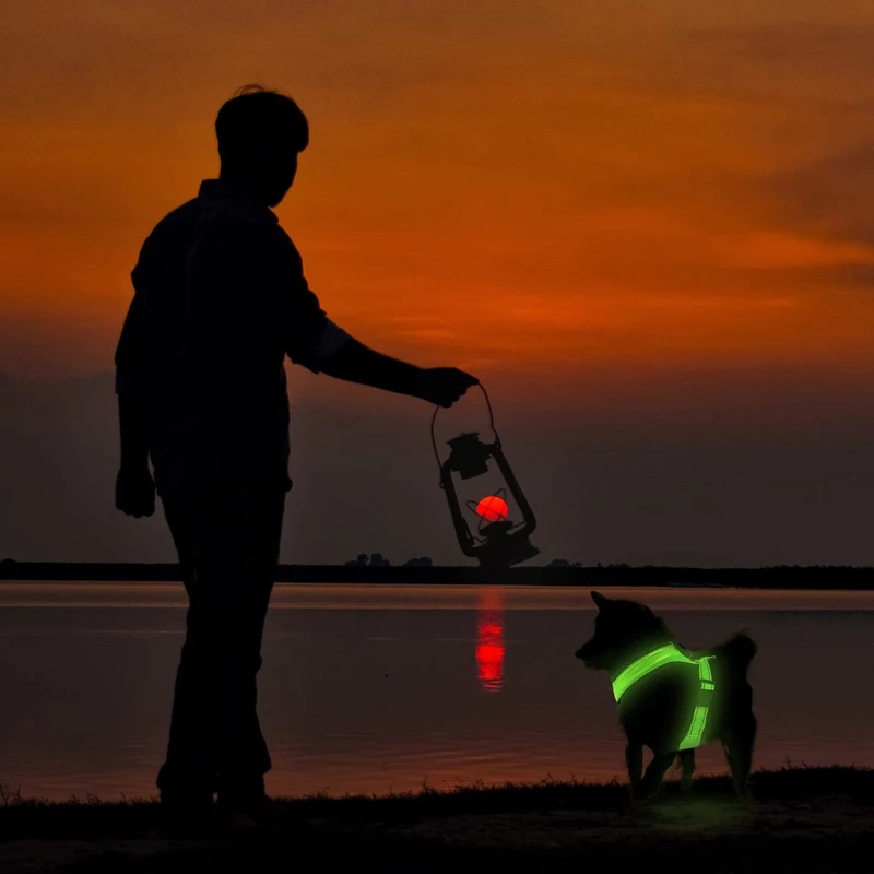 Arnés LED recargable para perros – Reflectante con malla ajustable - imagen 4