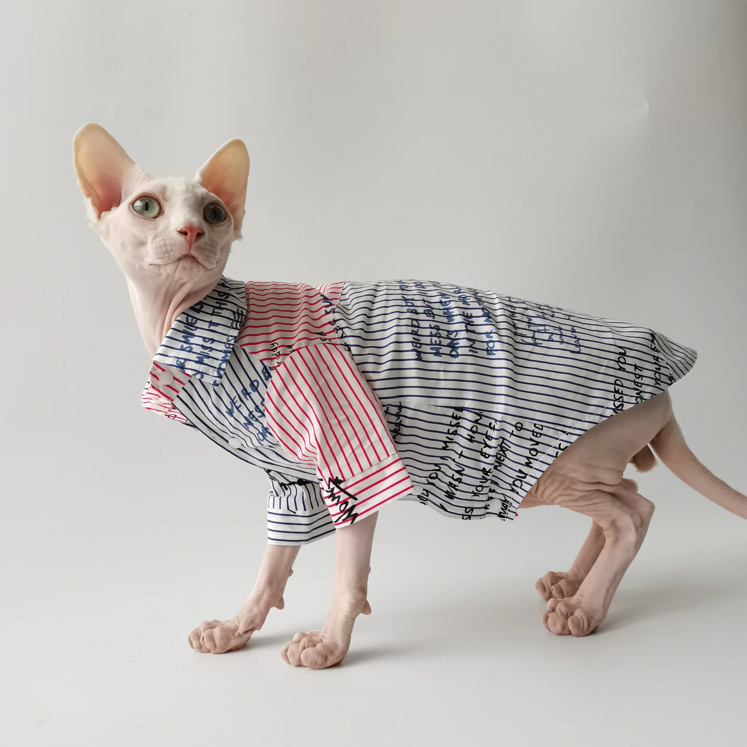 Jersey de algodón para gato Sphynx – Abrigo fino manga larga - imagen 3