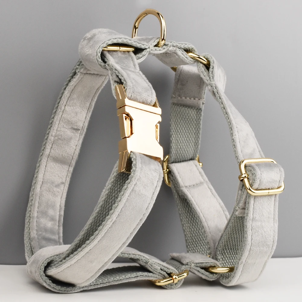 personalized dog collar harness leash set custom Engraved Nameplate premium dog collars Velvet 47 - imagen 2