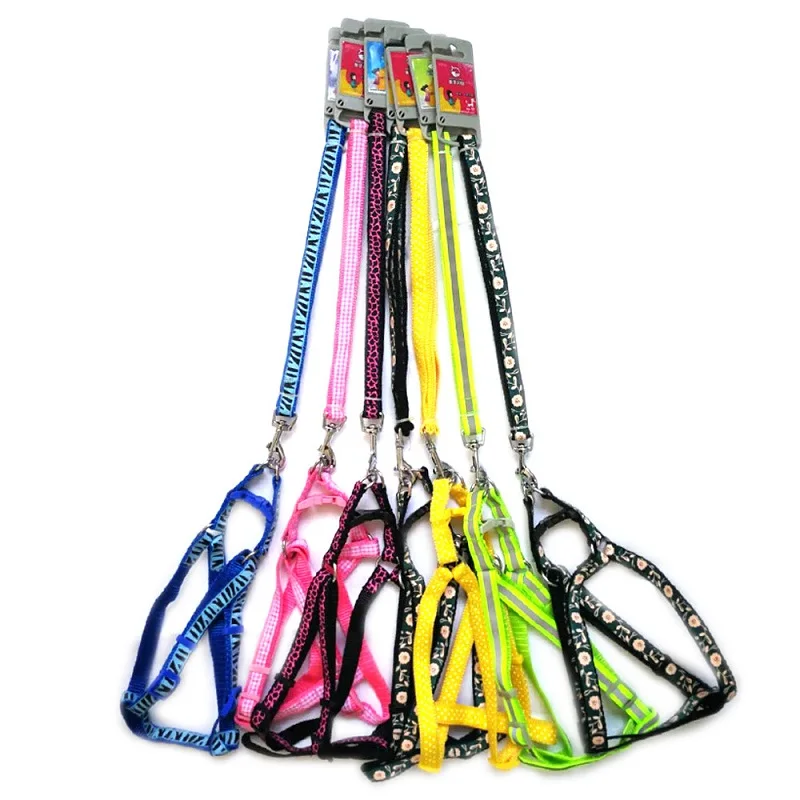 Arnés para perros pequeños y gatos, correa, chaleco ajustable, Collar para cachorros, caminatas al aire libre, Chihuahua Terier Schnauzer - imagen 3