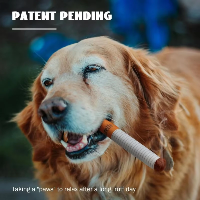 Divertidos juguetes interactivos de peluche para perros, cigarrillos creativos, juguetes interactivos para perros, divertido juguete de peluche para masticar, caja de cigarrillos, regalos para mascotas - imagen 2