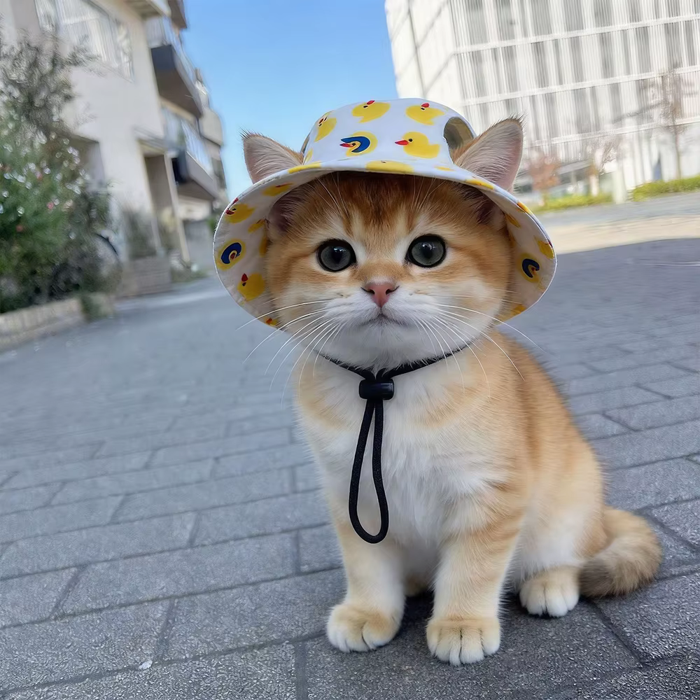Sombrero protección solar a cuadros para perros y gatos – Exterior - imagen 3
