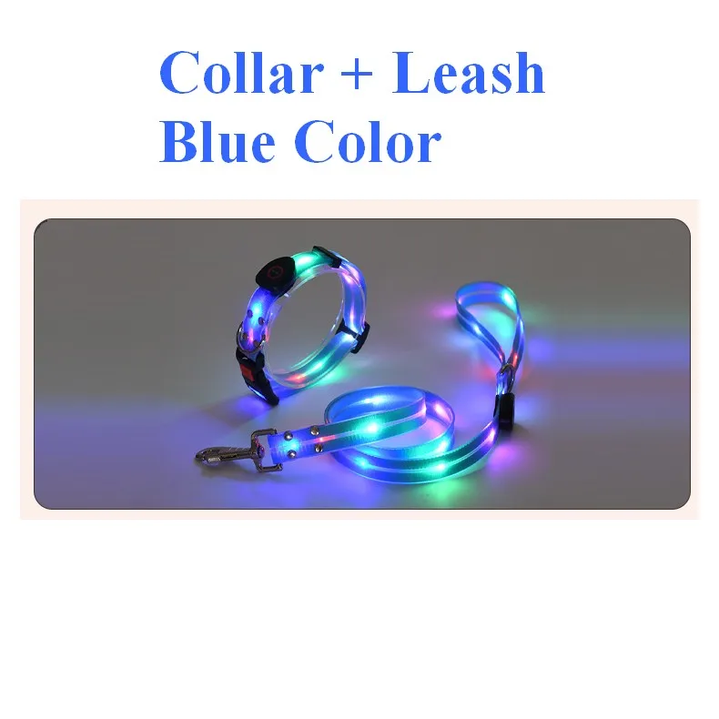 CollarLeash Blue