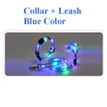 CollarLeash Blue