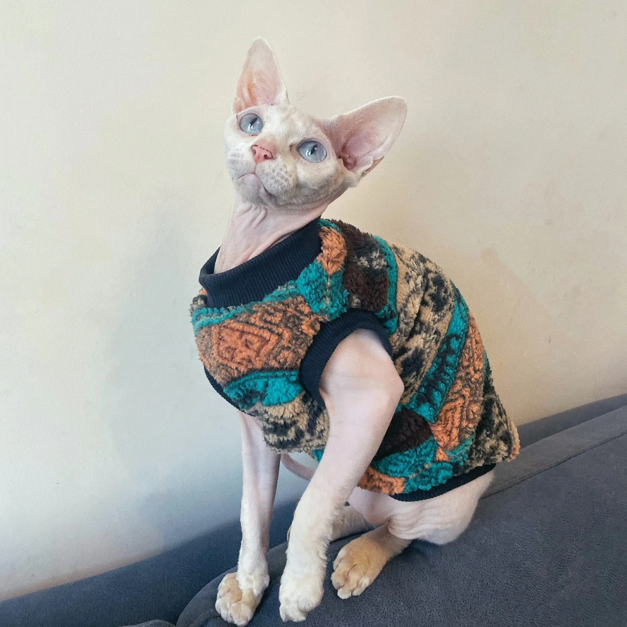 Suéter navideño para gato Sphynx, sudadera de lana colorida para gato sin pelo, pijamas gruesos de manga corta suaves de invierno para gatitos