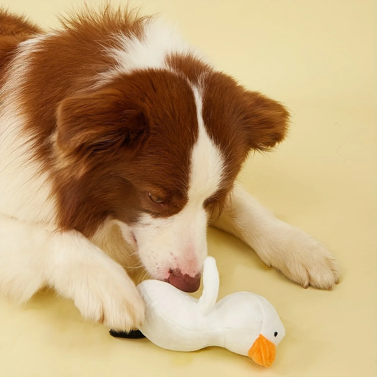 Juguete pato para cachorros – Alivia encías y favorece desarrollo dental - imagen 4