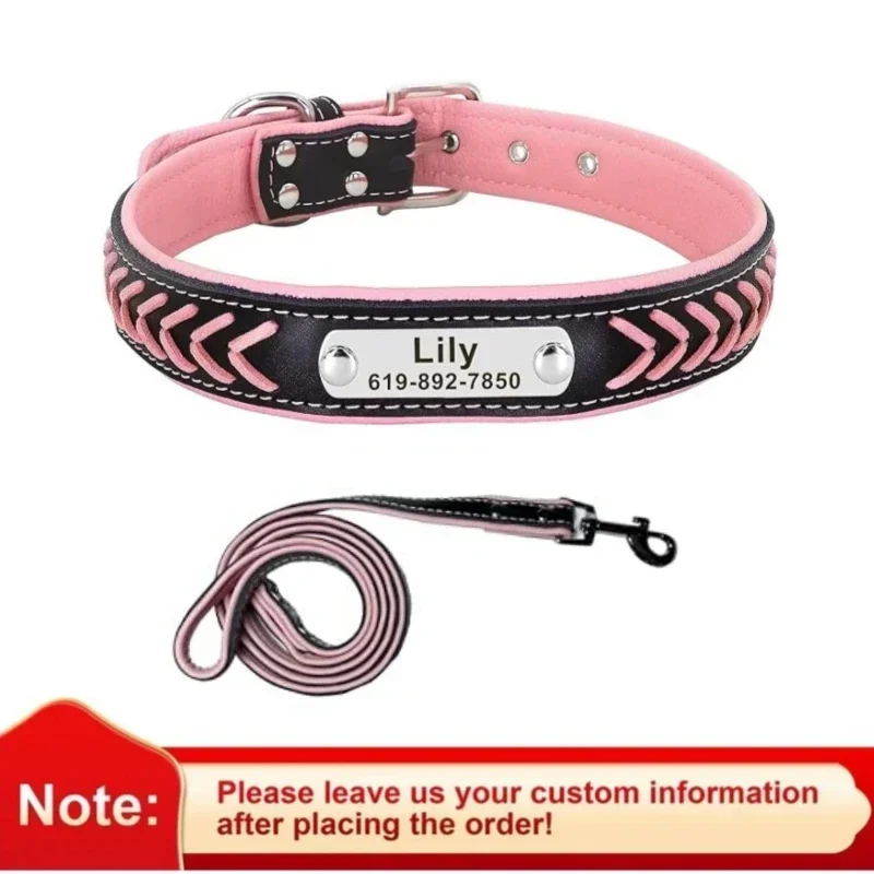 Pink and Leash