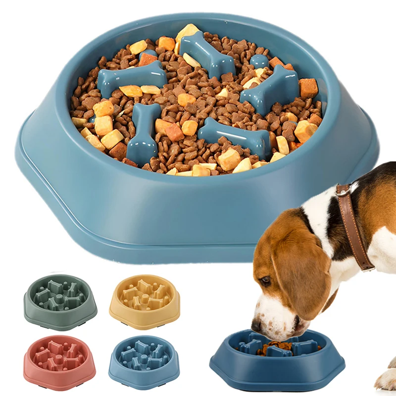 Comedero de alimentación lenta para perros - evita atracones